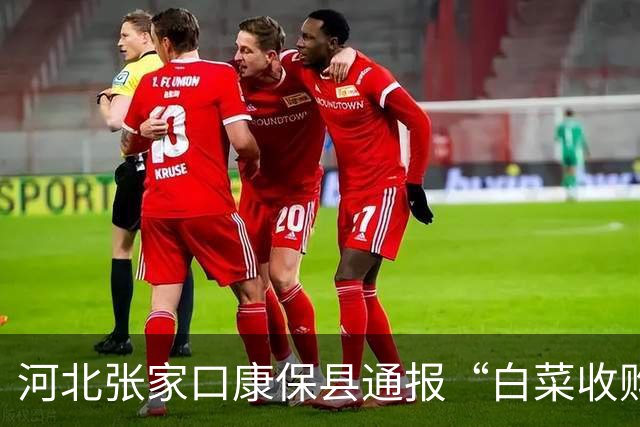 河北张家口康保县通报“白菜收购环节蘸取甲醛溶液问题”：情况属实